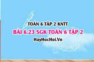 Bài 6.23 SGK Toán 6 tập 2 Kết nối tri thức